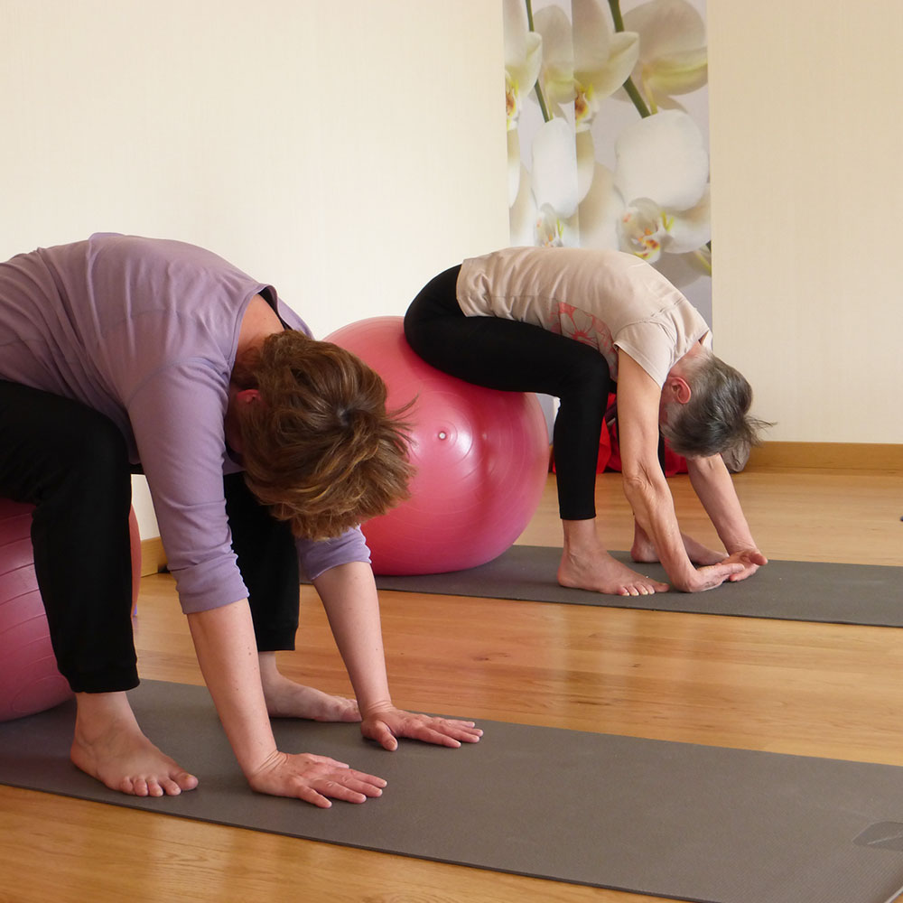 cours Pilates Basse-Indre